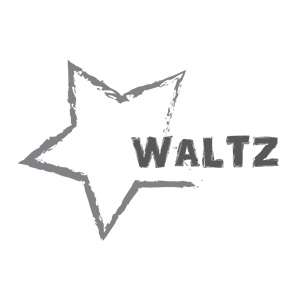 Waltz Solutions and Services LLC